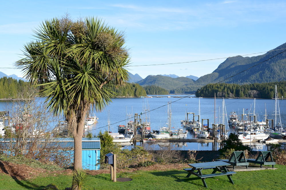 Tofino Motel Harborview Extérieur photo