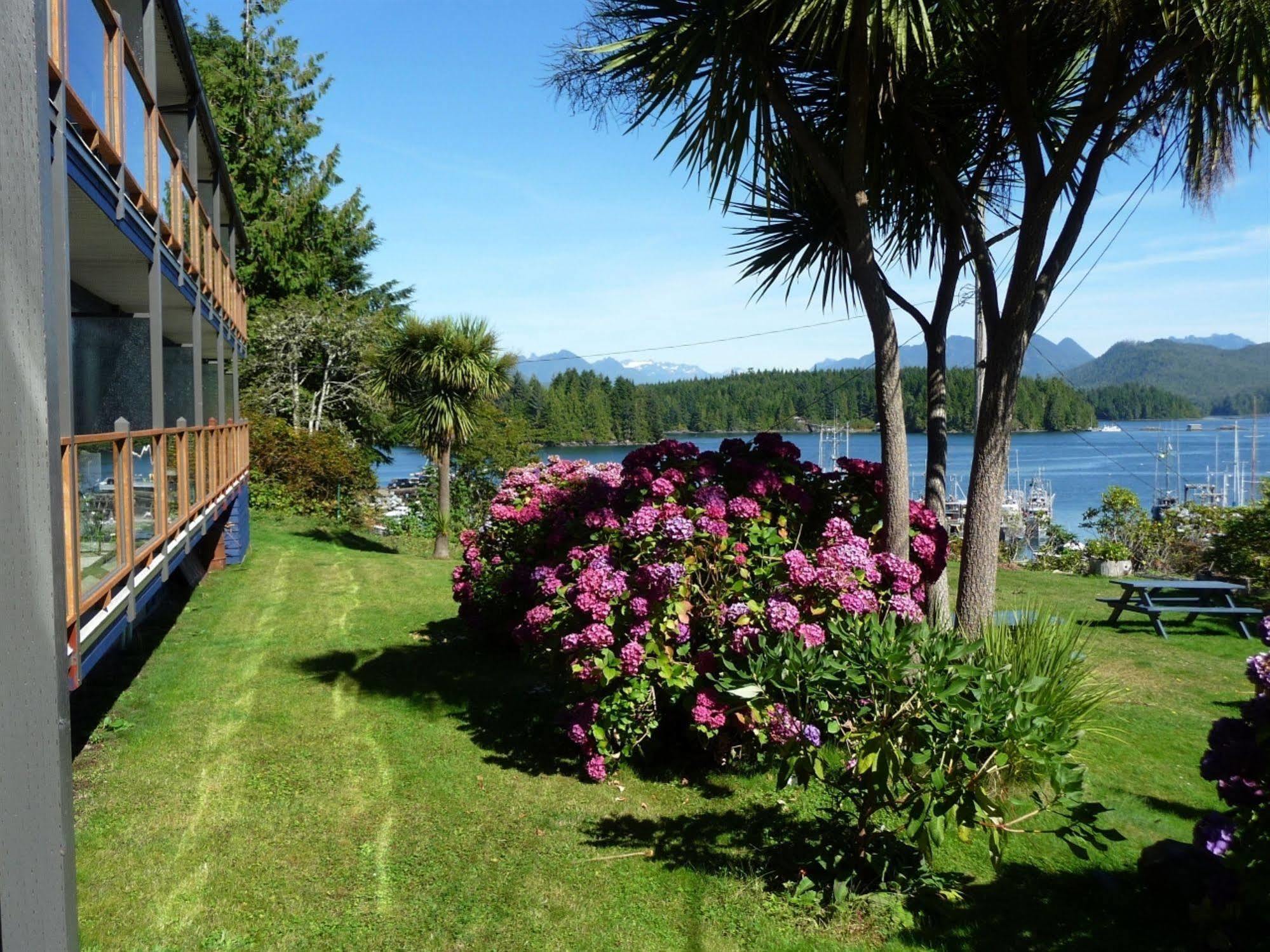 Tofino Motel Harborview Extérieur photo